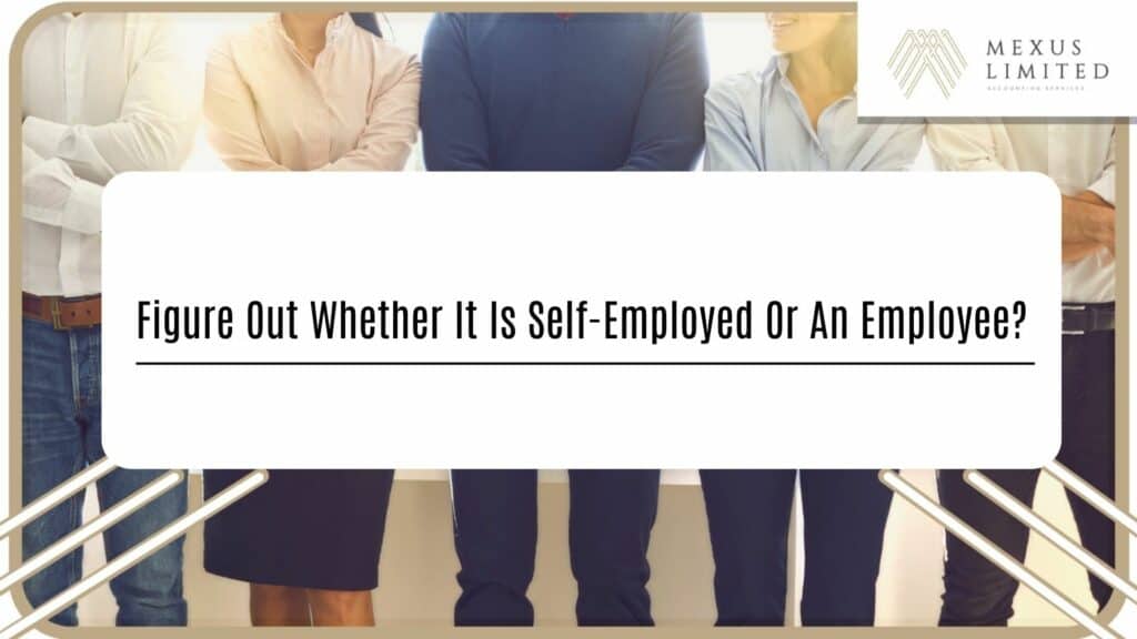 Figure out whether it is self-employed or an employee?