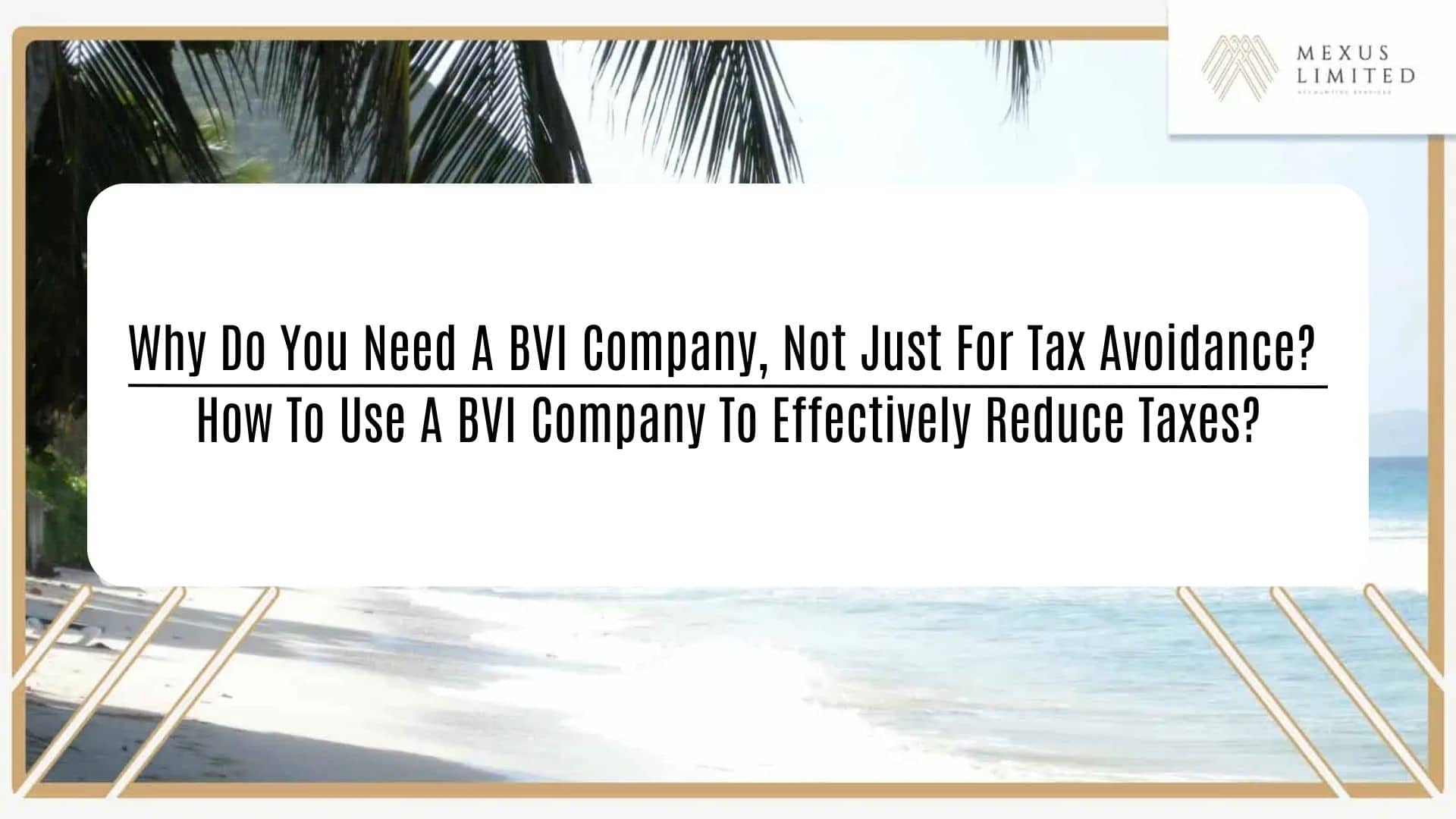 Why Do You Need A BVI Company, Not Just For Tax Avoidance? How To Use A ...