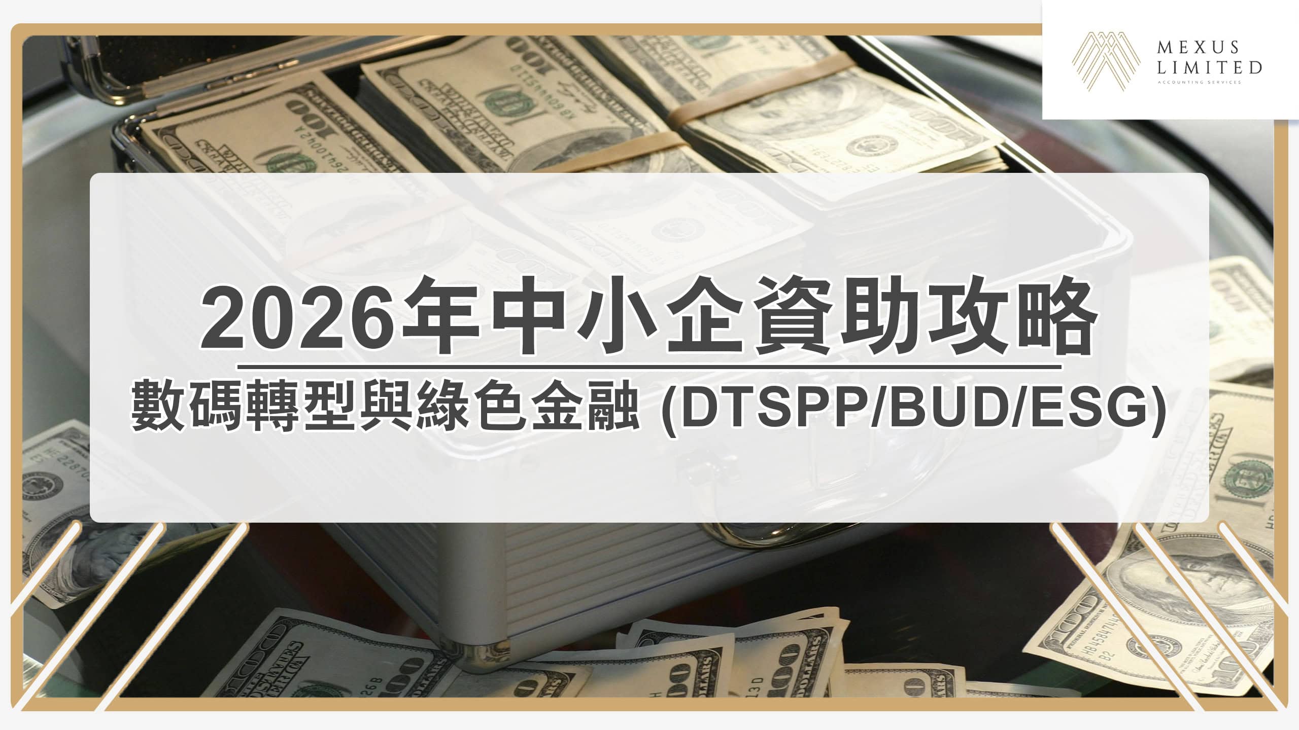 後 TVP 時代的資金佈局：2026 年中小企數碼轉型與綠色金融資助全攻略 (DTSPP/BUD/ESG)