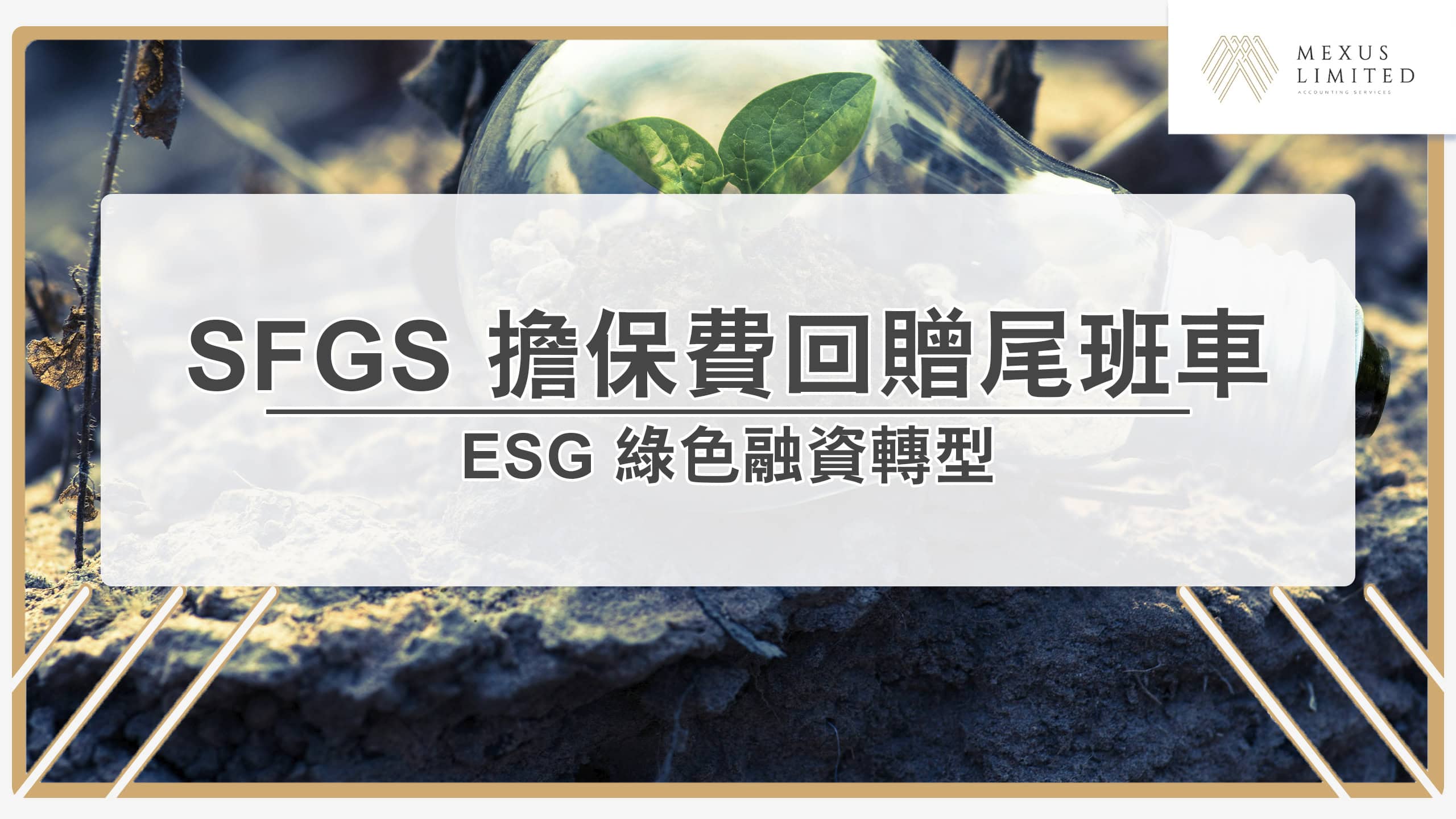 趕搭 SFGS 擔保費回贈尾班車與 ESG 綠色融資轉型